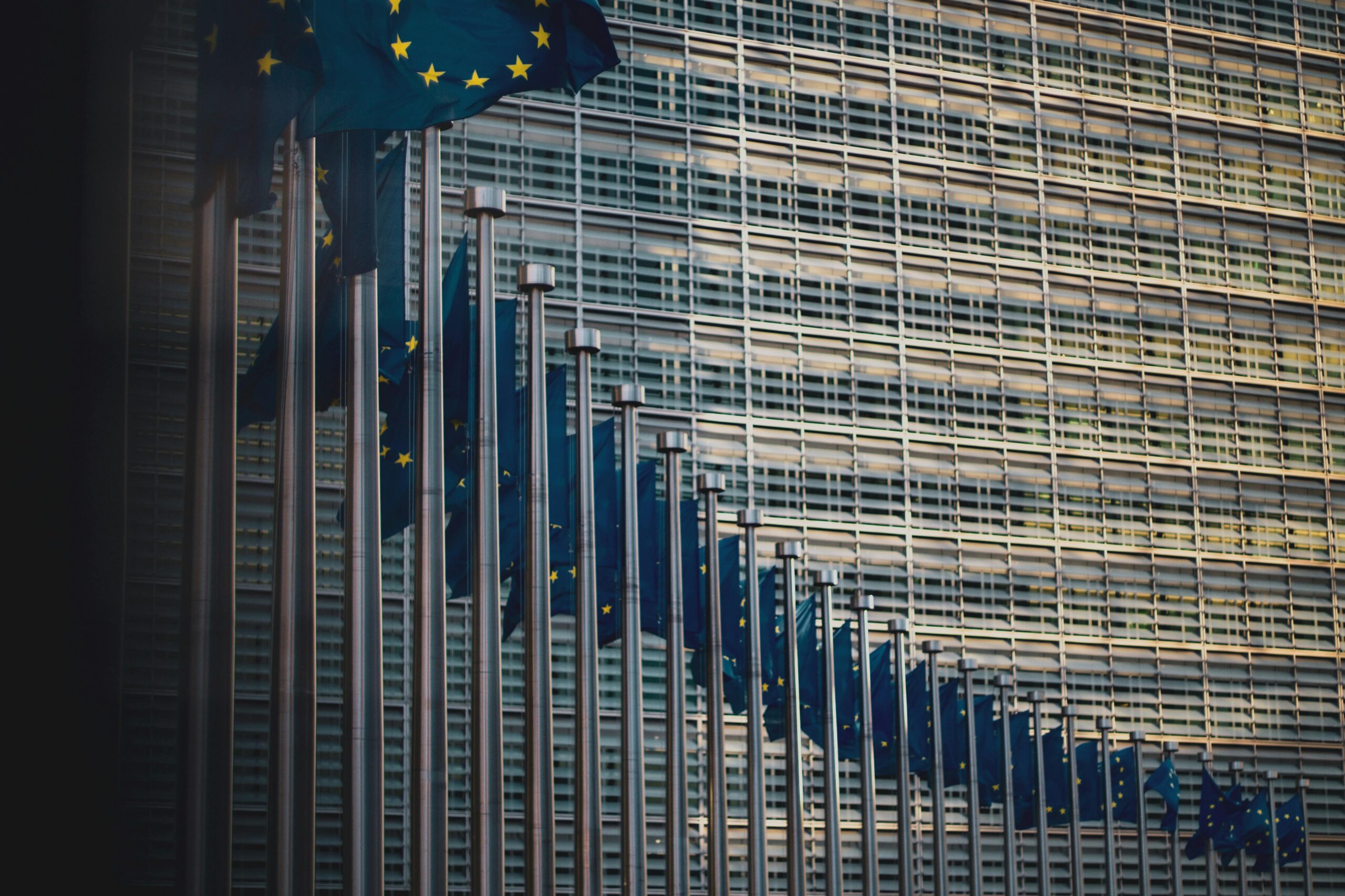 EU Enlargement Revisited