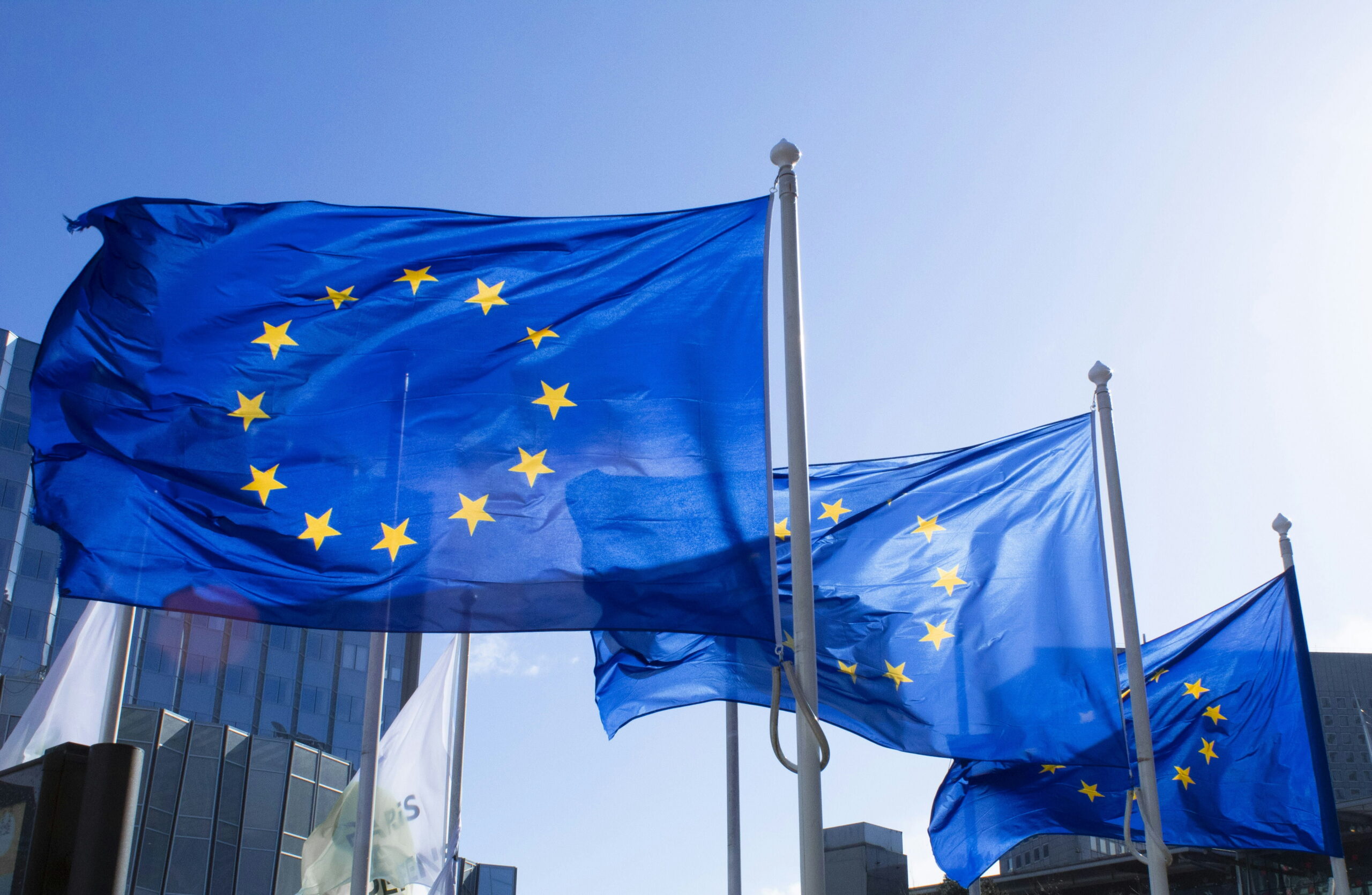 Sky is the Limit? FCAS Stress-Tests EU Defence