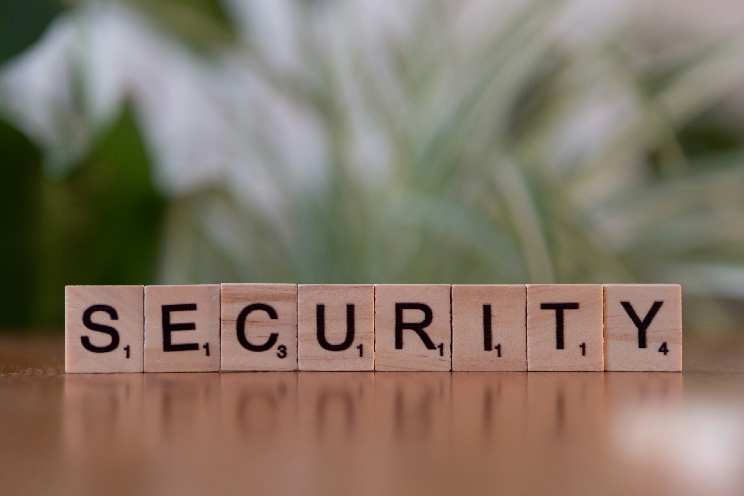 Hybrid Security Regimes in Practice